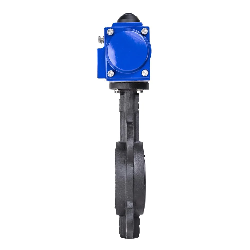 HK59-D Cast Iron Pneumatic Actuator Operated Butterfly Valve