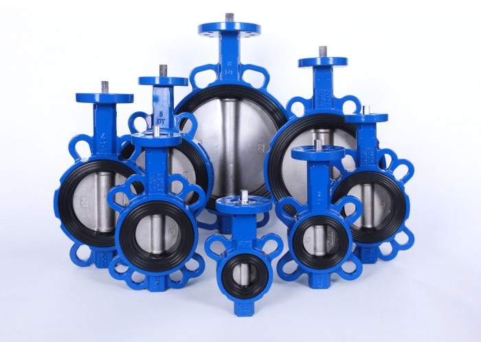 butterfly valve