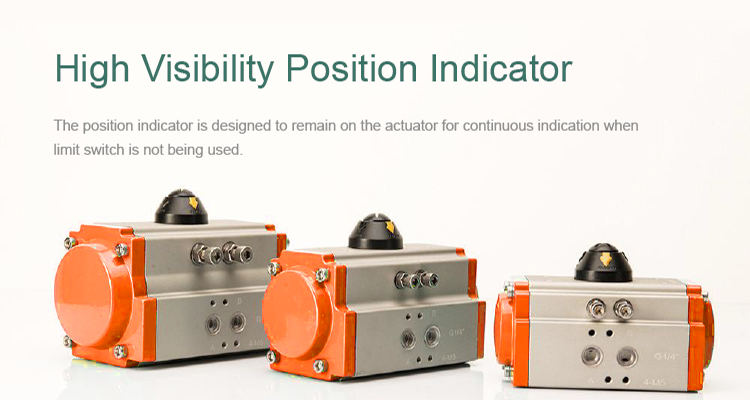 pneumatic actuator valve