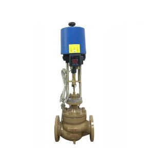 electric globe control valve
