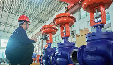 Valve Repair <span>&</span> Service